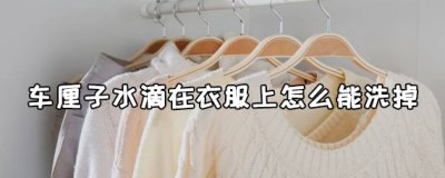 ​车厘子水滴在衣服上怎么能洗掉 车厘子水怎么洗干净