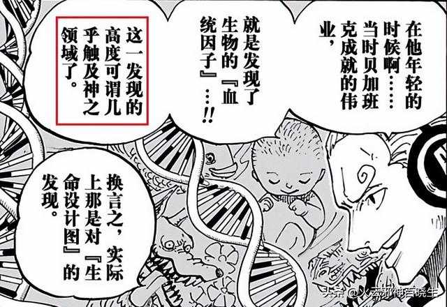 海贼王d家族什么意思（原来海贼王中的D是这个意思）(14)