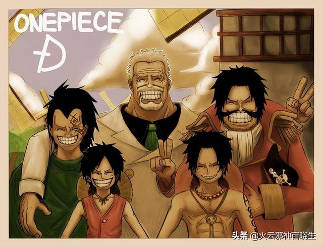 海贼王d家族什么意思（原来海贼王中的D是这个意思）(19)