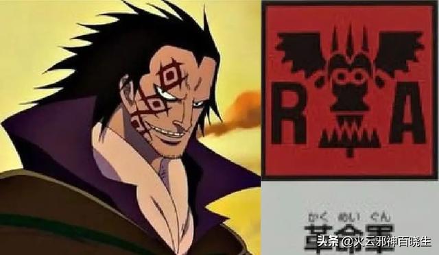 海贼王d家族什么意思（原来海贼王中的D是这个意思）(16)