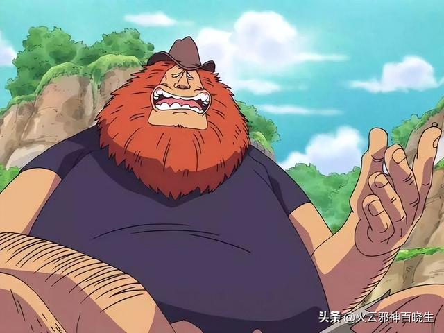 海贼王d家族什么意思（原来海贼王中的D是这个意思）(10)