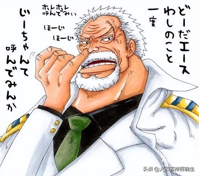 海贼王d家族什么意思（原来海贼王中的D是这个意思）(2)