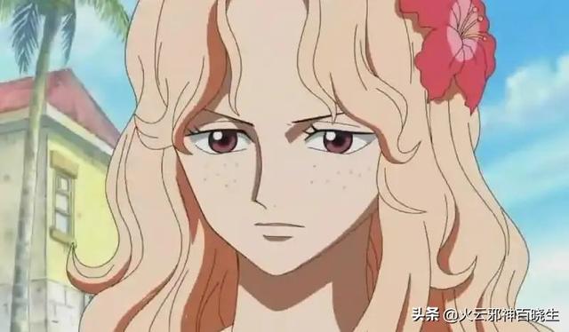 海贼王d家族什么意思（原来海贼王中的D是这个意思）(6)