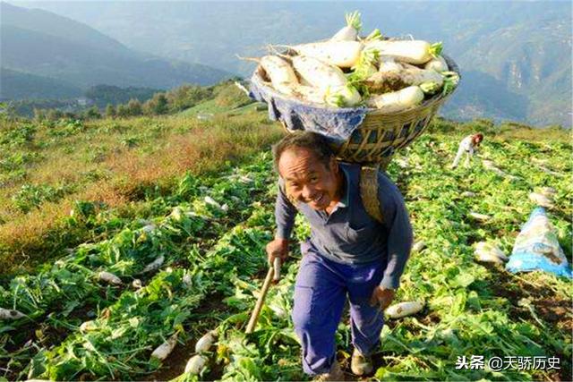 湖北人9头鸟什么意思（俗语天上九头鸟）(3)