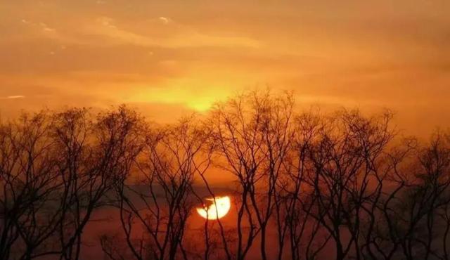 走狗屎运了什么意思（走狗屎运的来由）(2)