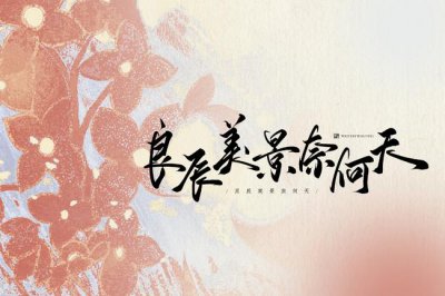 ​良辰美景奈何天是什么意思（良辰美景奈何天）
