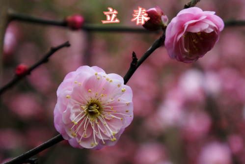 打春是什么意思（打春简单介绍）