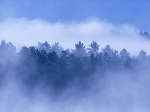 薄雾的意思（词语薄雾什么意思）