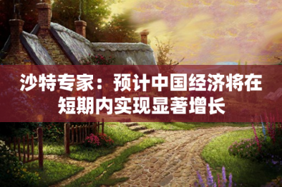 ​沙特专家：预计中国经济将在短期内实现显著增长