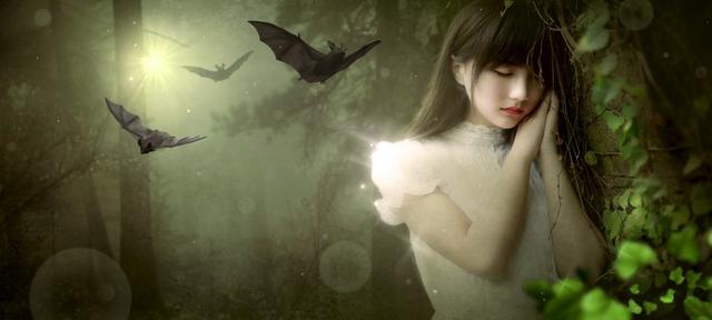 为什么说蝙蝠也是哺乳动物（同样是哺乳动物）(14)