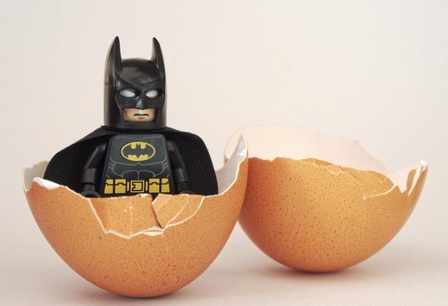 为什么说蝙蝠也是哺乳动物（同样是哺乳动物）(30)