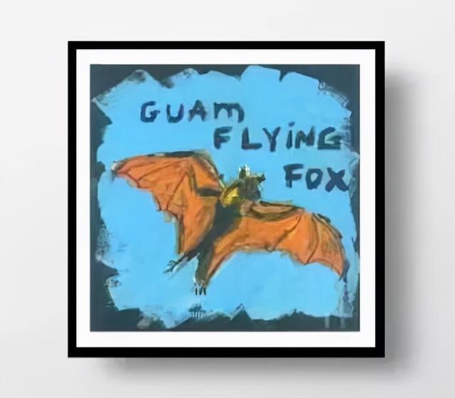 为什么说蝙蝠也是哺乳动物（同样是哺乳动物）(26)