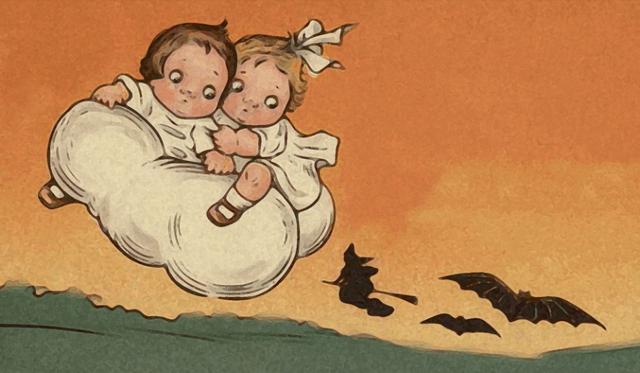 为什么说蝙蝠也是哺乳动物（同样是哺乳动物）(7)