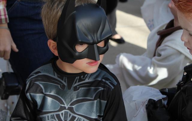 为什么说蝙蝠也是哺乳动物（同样是哺乳动物）(35)