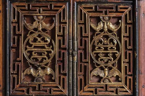 为什么说蝙蝠也是哺乳动物（同样是哺乳动物）(19)