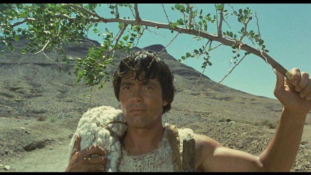 俄狄浦斯王是什么样的形象（一双智慧的眼睛）(2)