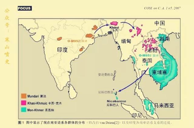 为什么司母戊鼎又叫后母戊鼎（司母戊鼎为什么改叫）(16)