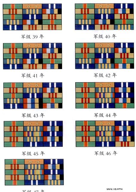 最全的中国人民解放军军衔、资历章、臂章详解