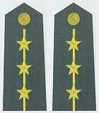 最全的中国人民解放军军衔、资历章、臂章详解