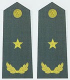 最全的中国人民解放军军衔、资历章、臂章详解