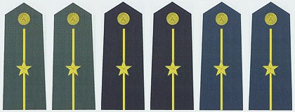 最全的中国人民解放军军衔、资历章、臂章详解