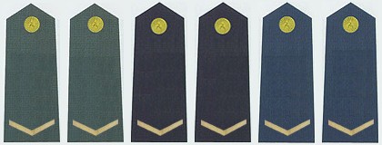 最全的中国人民解放军军衔、资历章、臂章详解