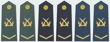 最全的中国人民解放军军衔、资历章、臂章详解