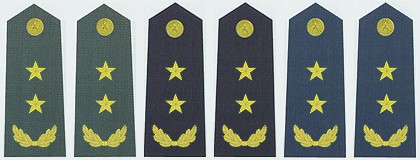 最全的中国人民解放军军衔、资历章、臂章详解