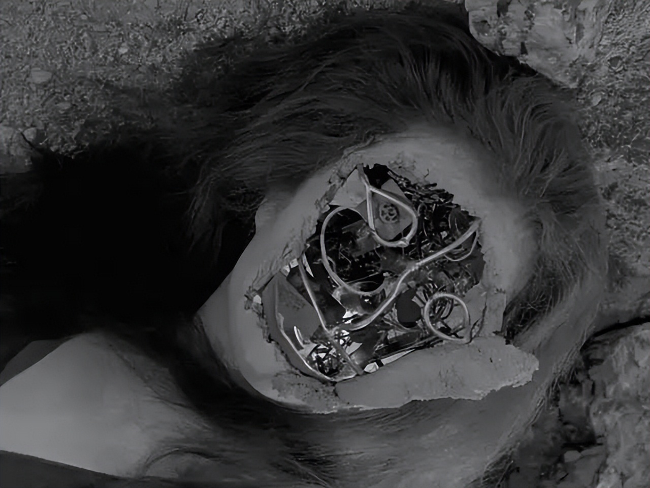 安娜贝尔事件是真的吗(安娜贝尔原型事件是真的吗)