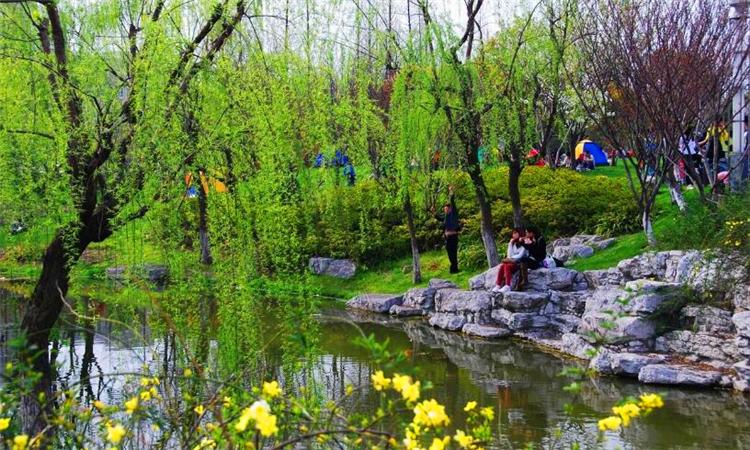 踏青的意思（什么是踏青）