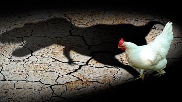 恐龙都是吃什么肉（霸王龙口感可能不太好）(4)