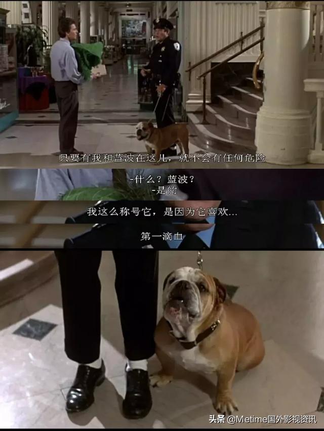 好莱坞经典电影喜剧推荐（不知道还有多少人记得这部上世纪八十年代好莱坞的奇幻爱情喜剧）(13)