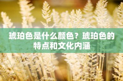 ​琥珀色是什么颜色？琥珀色的特点和文化内涵