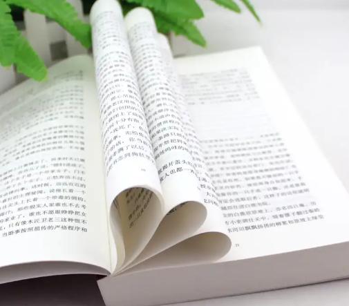 白鹿原里的白孝文是个什么样的人（白鹿原结局惹争议）(2)