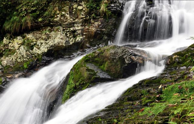 革命红色景点井冈山简介（红色旅游圣地-井冈山）(4)