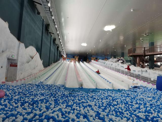 苏州森林公园游玩攻略（苏州乐园森林世界旅游攻略）(17)