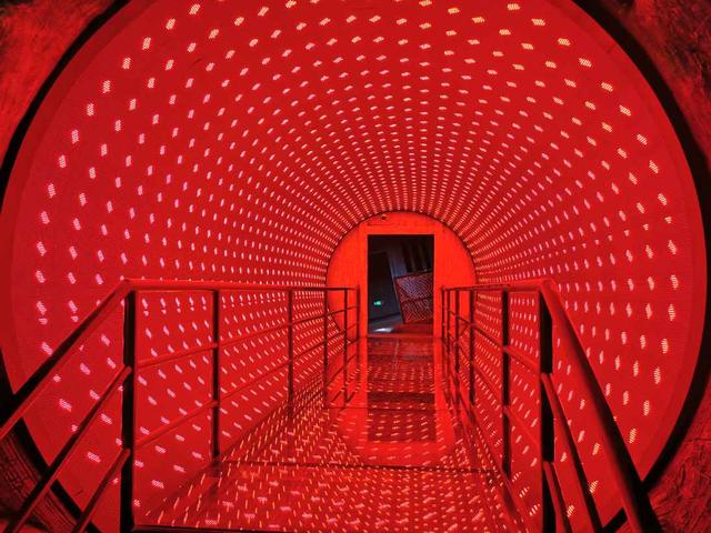 苏州森林公园游玩攻略（苏州乐园森林世界旅游攻略）(11)