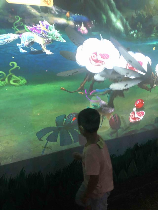 苏州森林公园游玩攻略（苏州乐园森林世界旅游攻略）(20)