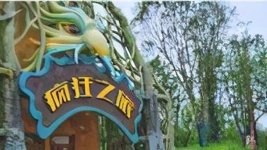 苏州森林公园游玩攻略（苏州乐园森林世界旅游攻略）(16)