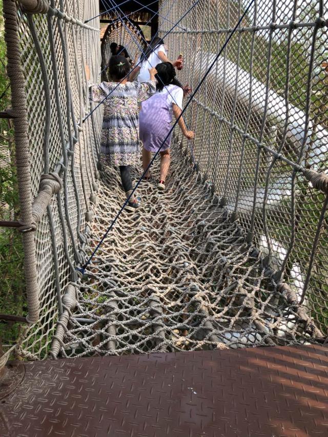 苏州森林公园游玩攻略（苏州乐园森林世界旅游攻略）(8)