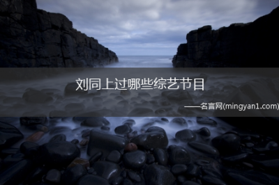 ​刘同上过哪些综艺节目_刘同资料