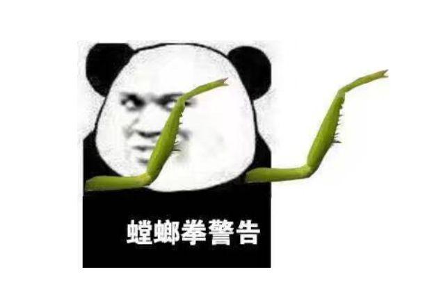 EDG夺冠是什么梗(梗学研究院EDG永不团灭)(9)