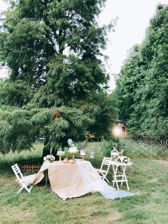 瑞典主要民族(历史上瑞典究竟是什么样的民族)(6)