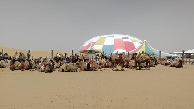 包头市响沙湾一日游攻略 赫赫有名的沙漠景点包头响沙湾(11)