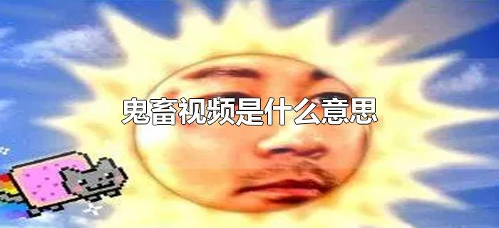 鬼畜视频是什么意思