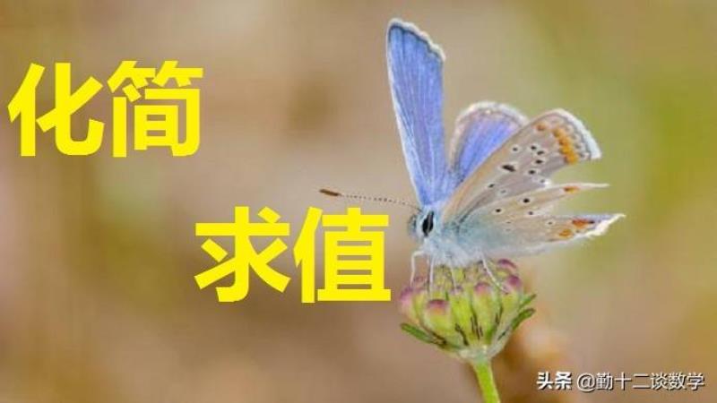 什么是同类项(合并同类项的定义和法则)(7)