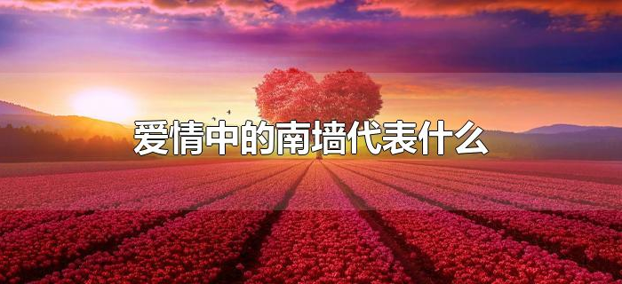 爱情中的南墙代表什么