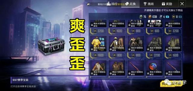 和平精英光子良心活动（一个例子告诉你什么是手册活跃礼包）(2)