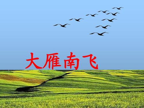 大雁南飞是什么季节，大雁南飞到哪里过冬 
