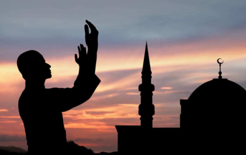 阿米乃是什么意思（什么是阿米乃）